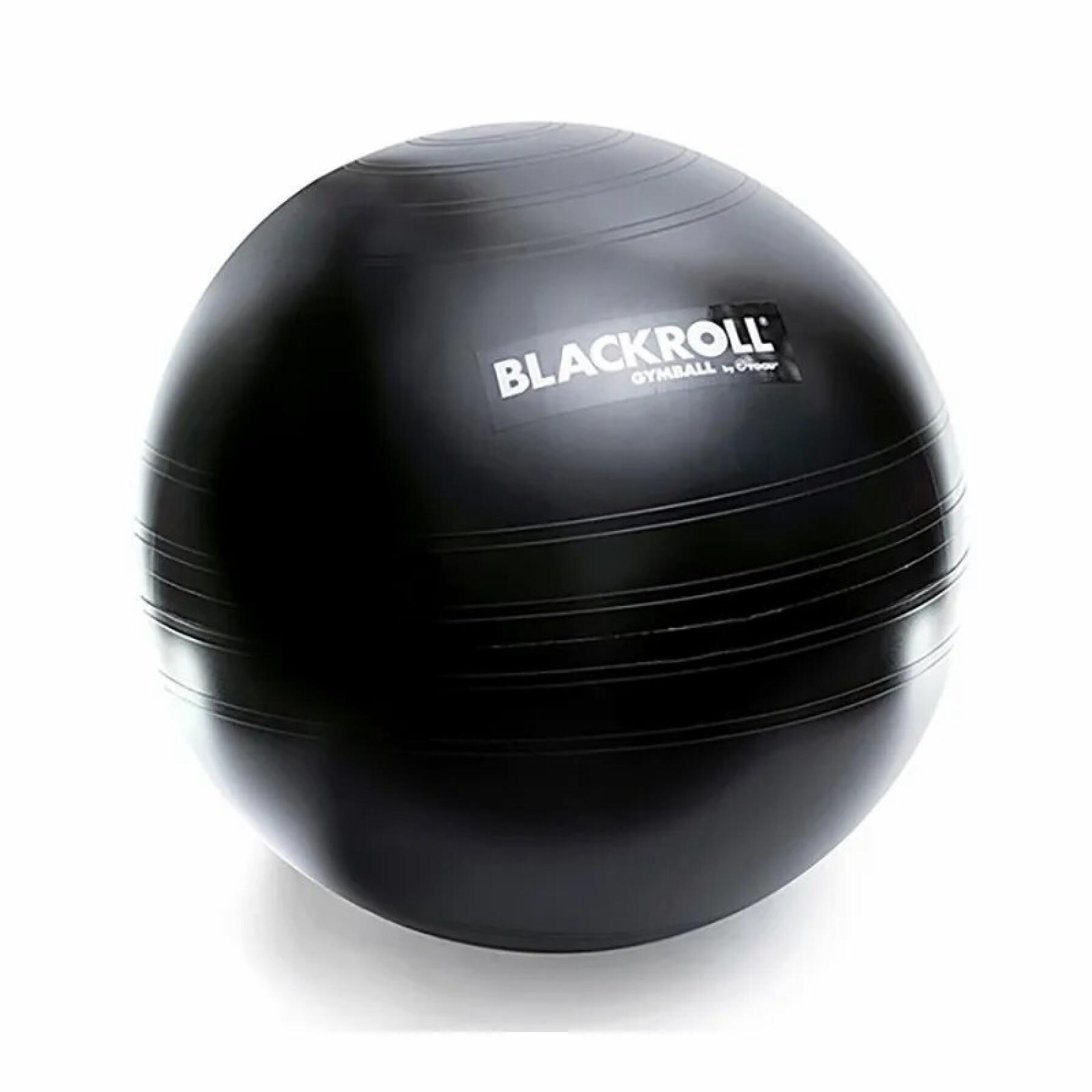 Palestra ball Blackroll 65