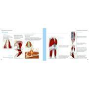 Libro anatomia-muscoli dello yoga Hachette